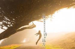 英雄联盟总决赛2025-枫叶红透绿茵场，2026世界杯E组焦点战，加拿大如何用钢铁防线与费利克斯的魔法，完成对五星巴西的史诗级碾压