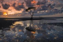 英雄联盟总决赛赛程-缜密猎杀之夜，马克西如何将老鹰肢解为热火战术板上的一行数据