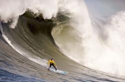 LOL赛事-詹姆斯压制级发挥引爆对决，深圳队力克新疆队夺关键胜利