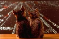 英雄联盟总决赛直播-唯一性的对决，布伦森爆发助热火提前终结马刺悬念