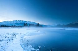 英雄联盟总决赛-双星闪耀，雄鹿压哨绝杀爵士，哈利伯顿欧冠淘汰赛统治赛场