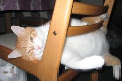 英雄联盟总决赛门票-球衣的魔法，血脉的觉醒，久保建英与阿根廷的欧冠奇迹