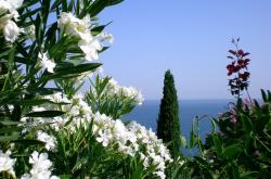 英雄联盟总决赛-逆转，封喉，新王诞生！杰伦·格林末节19分演绎个人英雄主义，篮网抢七踏过广厦骸骨