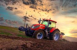 英雄联盟总决赛门票-逆转与统治，森林狼翻盘黄蜂的启示与约基奇东决关键战的巨星艺术