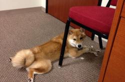 英雄联盟总决赛门票-白色航船的沉没，当阿什拉夫点燃沙漠，卡塔尔粉碎西班牙黄金舰队