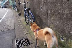 英雄联盟总决赛-大帝压境独木难支，恩比德42分统治力压东契奇，76人团队绞杀独行侠单核