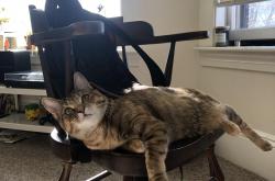 英雄联盟总决赛门票-波斯铁骑跨洋破壁，抢七战的冰与火之歌