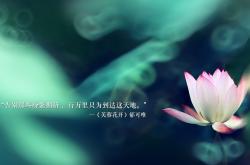 -冰与火之歌，当新疆的烈焰点燃爵士的坚冰