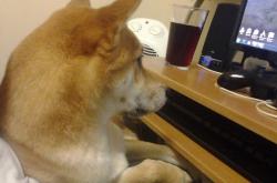 -从金州到世界杯，库里三分雨浇熄步行者之夜，预言2026布伦森接管时代的序曲