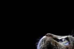 英雄联盟总决赛门票-战术教科书，法比尼奥导演中国轻取德国的现代足球范本