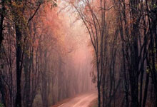 英超锋刃出鞘！葡萄牙绝境逢生，C罗任意球绝杀书写关键一胜！