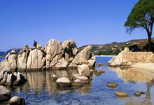 蓝白风暴席卷绿茵：当世界杯王者碾压俱乐部王朝