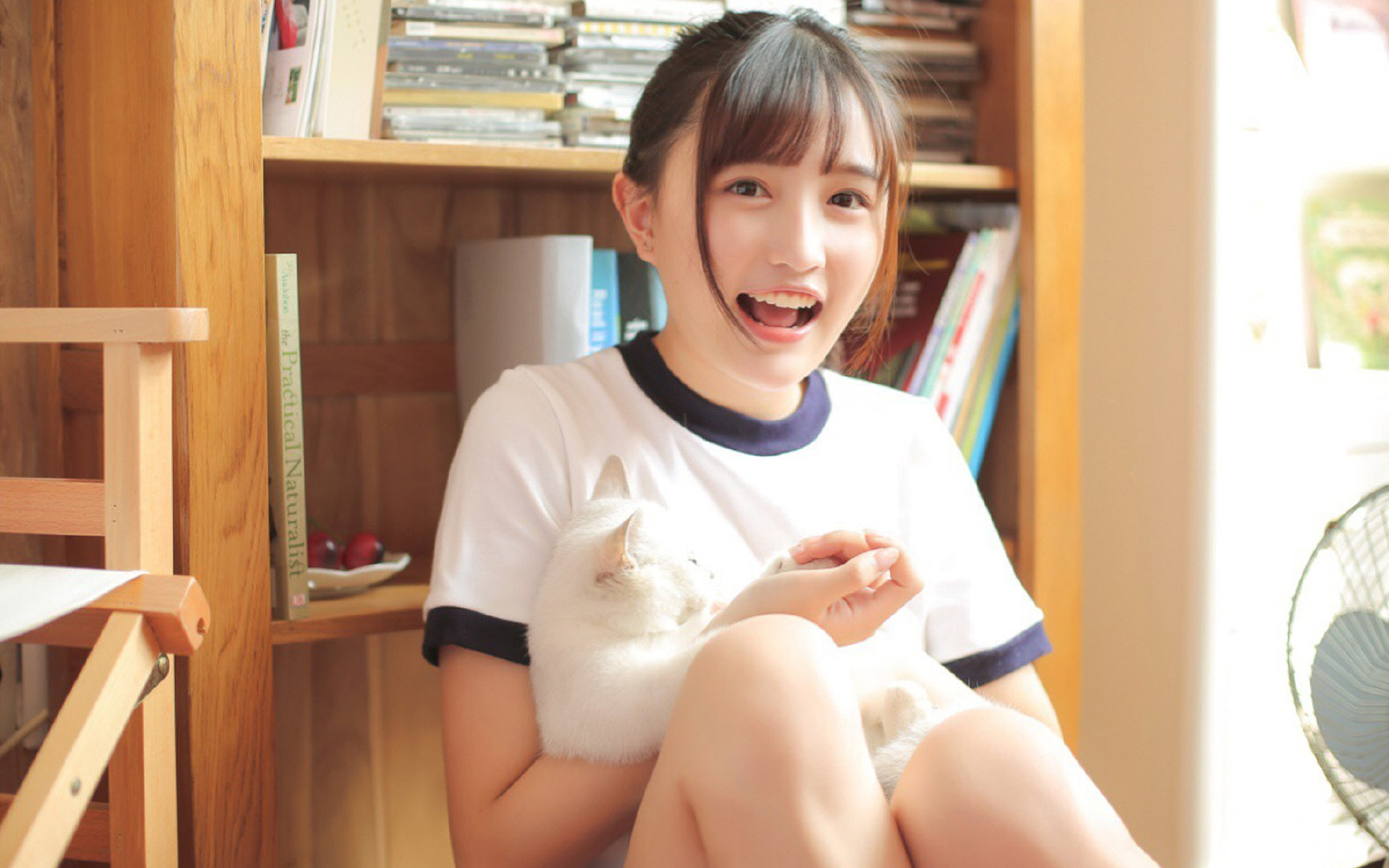 篮球世界的无解杀招，从欧文的不可防守到雄鹿如何掀翻掘金