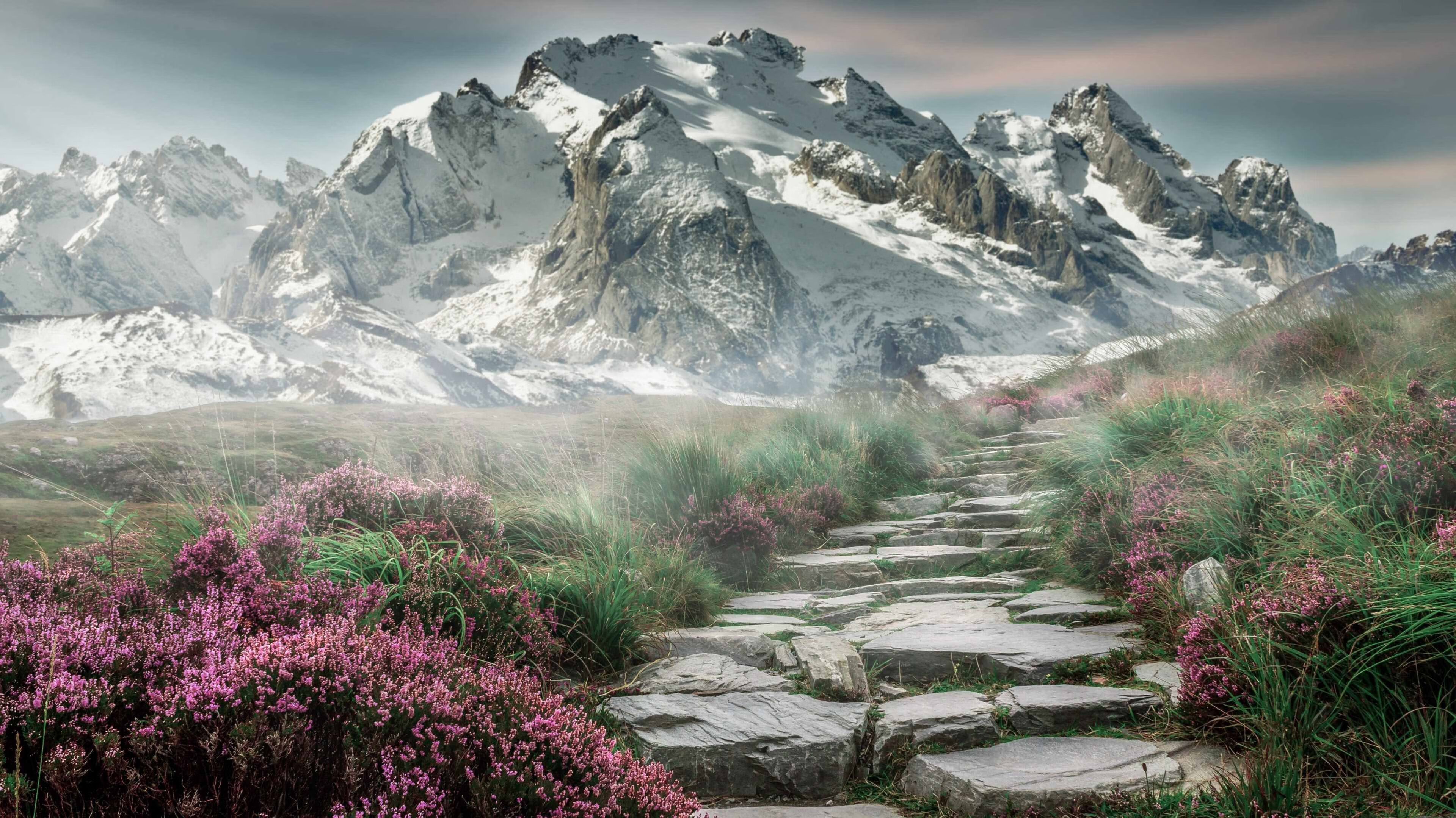 神罚时刻，当C罗的倒钩照亮尼斯与玻利维亚的平行战场