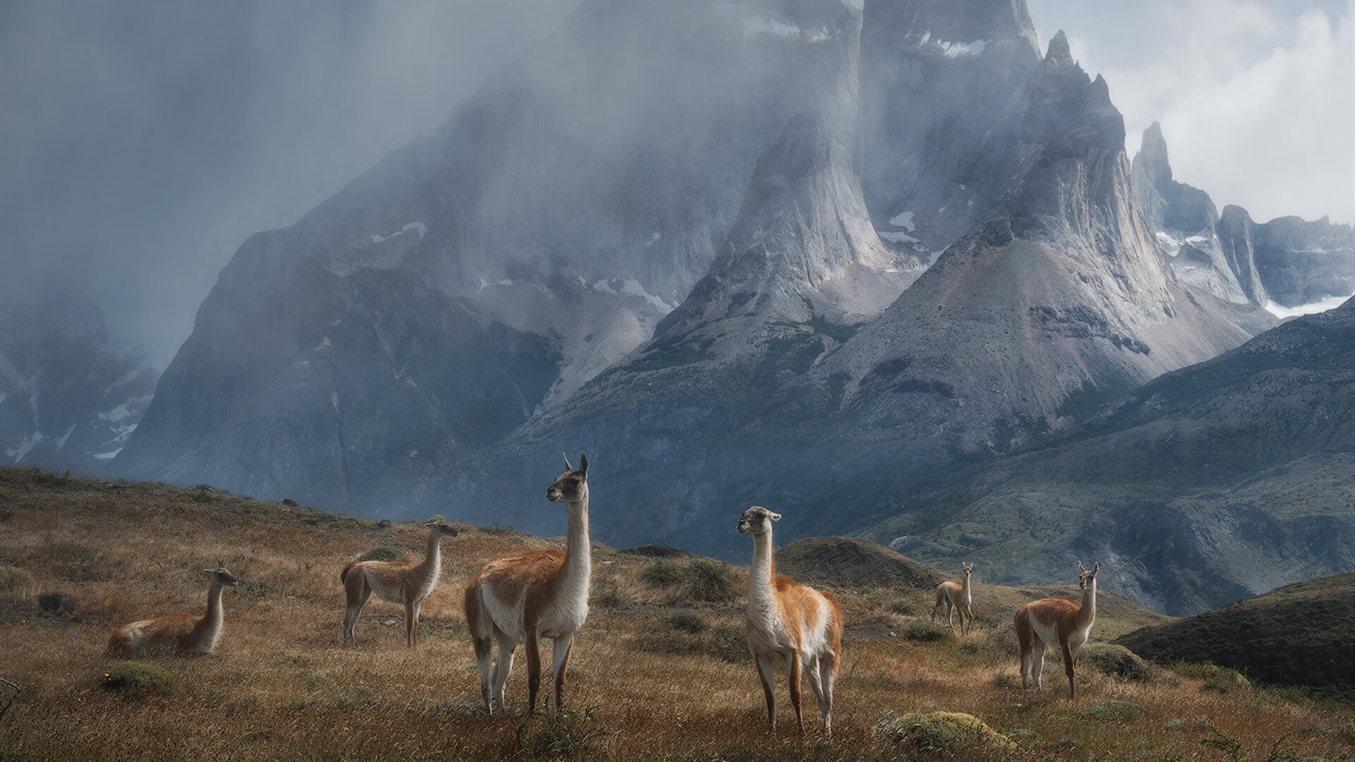 半场艺术与全场碾压,哈利伯顿的转换魔法与掘金的系统之力