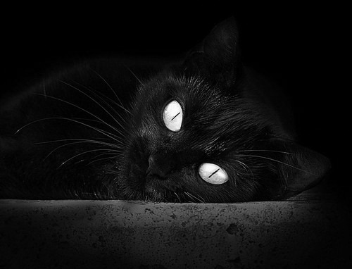 莱昂纳德对决巴特勒,当冷面杀手遇上强硬之魂,年度焦点战终局为何是他主宰?