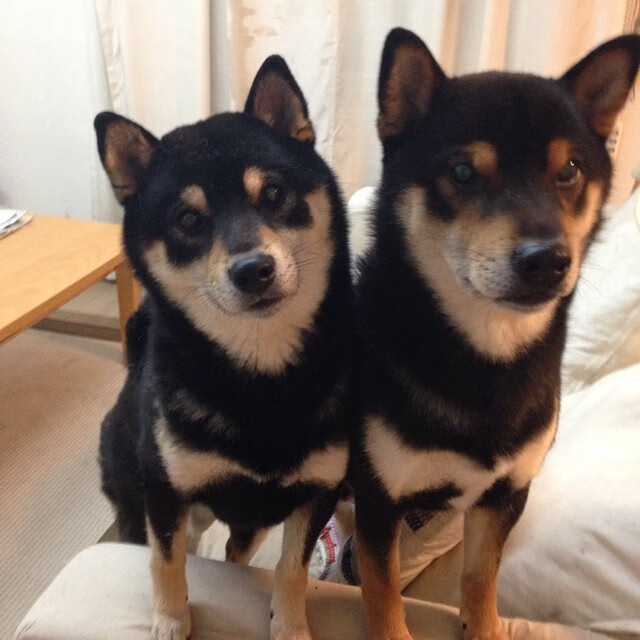 格局重塑之夜!国米混凝土防线凿穿拜仁,欧冠巅峰战改写欧洲权力版图