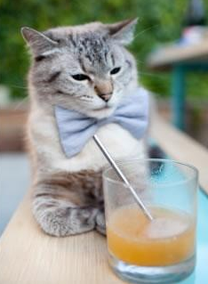 一锤定音！莱奥关键战再显巨星本色，国际米兰力克墨西哥劲旅晋级八强