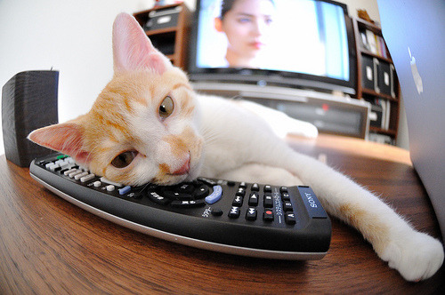 战术革命,巴斯托尼的后腰化助攻如何击穿米兰,拜仁却笑到了最后?