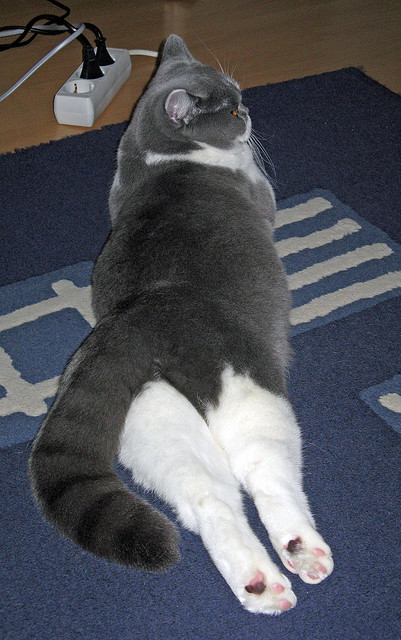 他接住了太阳掀翻公牛后坠落的光