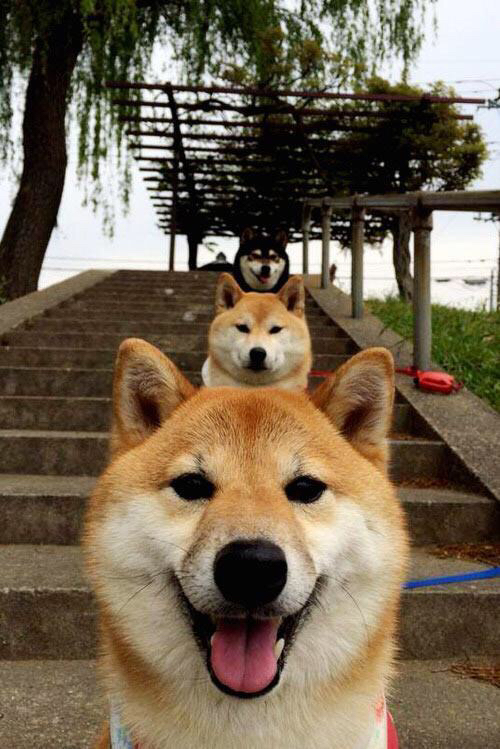 武切维奇单骑救主，马刺压哨交易引爆新势力，对阵雷霆砍下压制级数据