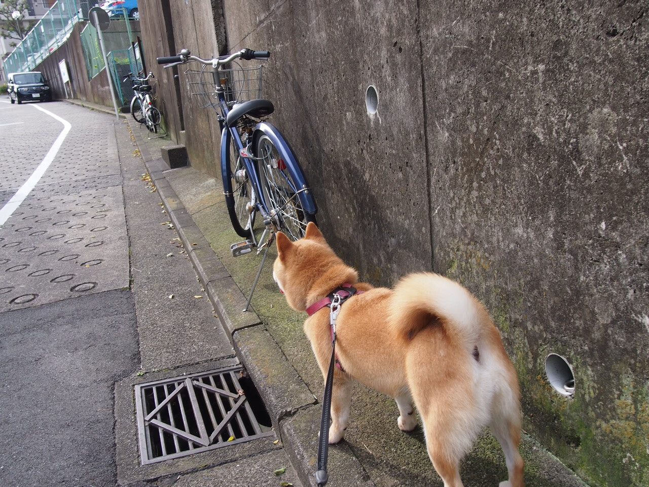 风暴眼，罗德里，一个定义国家德比之夜的永恒坐标