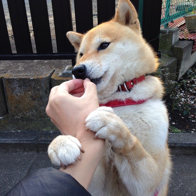 东决式博弈，比利亚雷亚尔末节带走新西兰，一场跨界的战术胜利