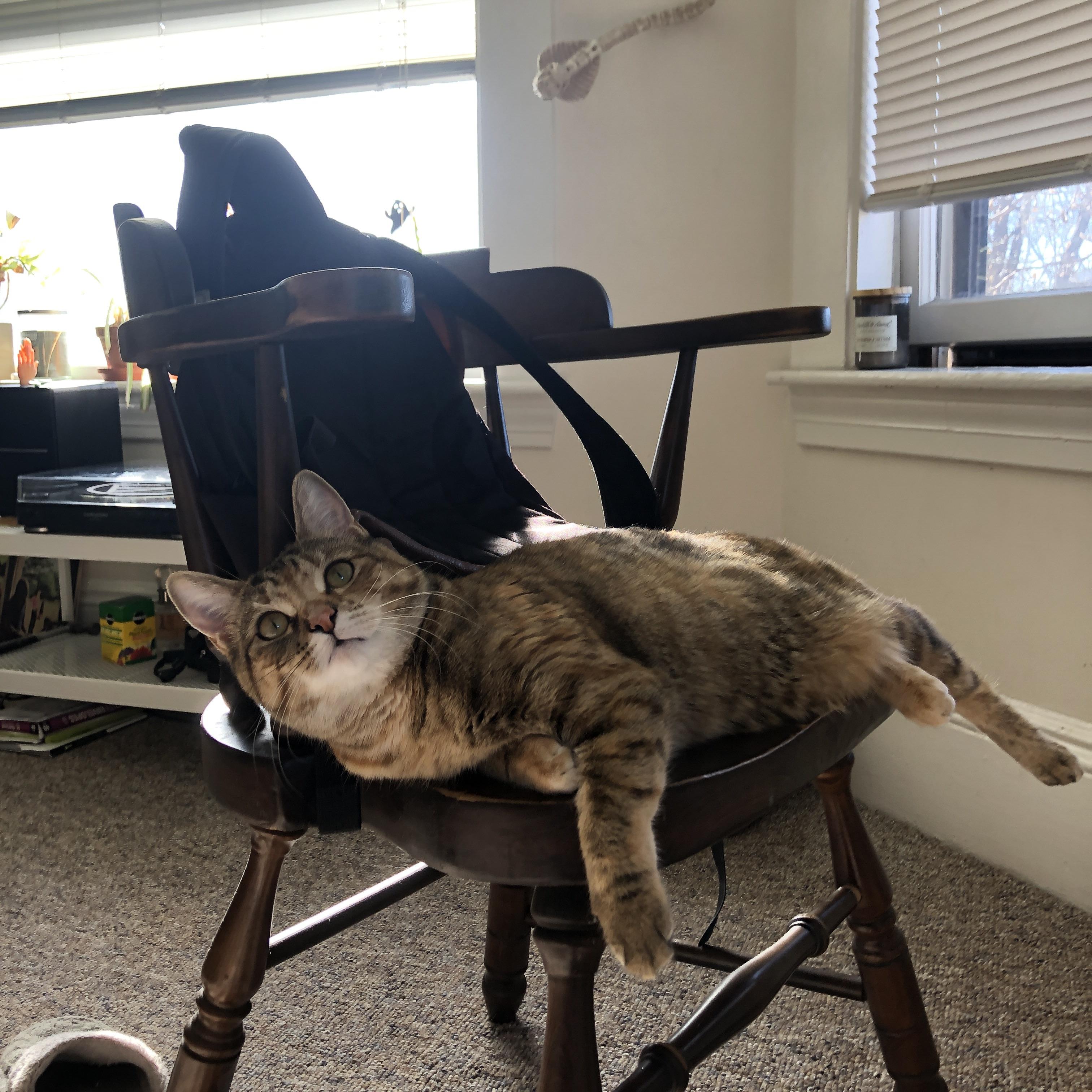 波斯铁骑跨洋破壁，抢七战的冰与火之歌