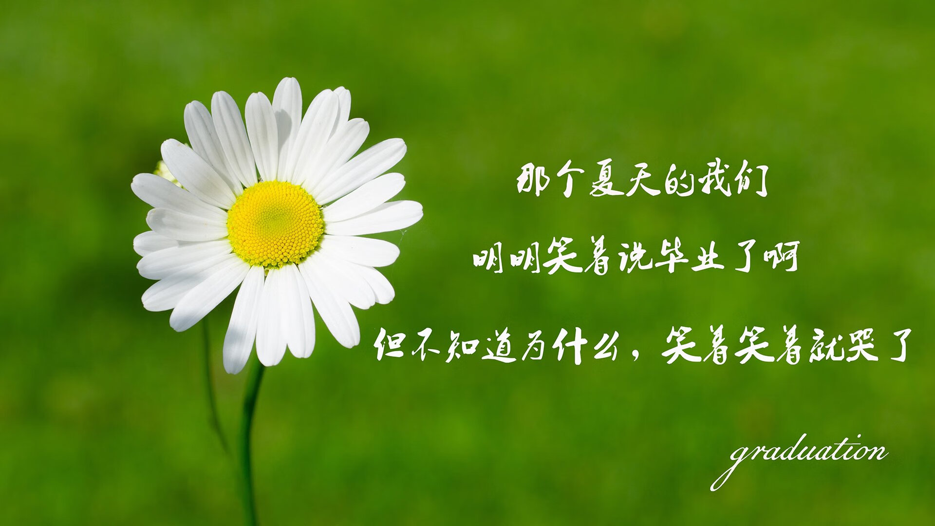绝杀之夜，2026世界杯强强对话，塞尔维亚险胜伊朗，哈兰德闪耀全场