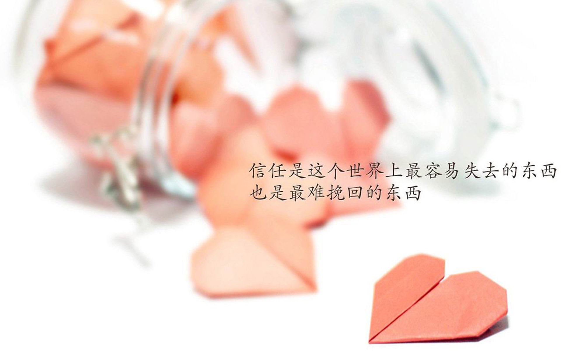 当唯一吞噬绝对—2026世界杯D组,范戴克与哥斯达黎加如何让碾压成为足球哲学