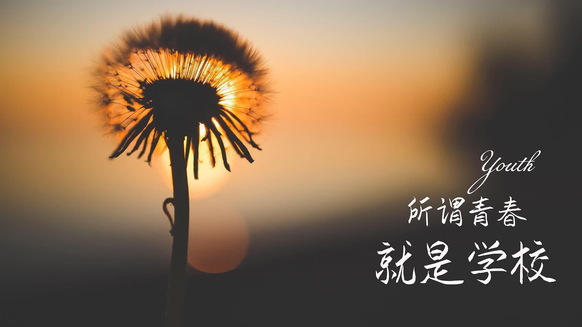 唯一性的审判,当2026世界杯生死战成为文明对抗的镜像